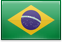 Português (BR)